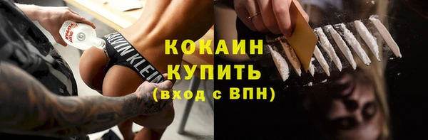 твердый Балахна