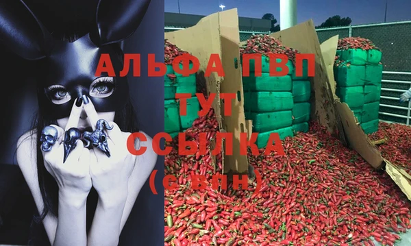 скорость Балабаново