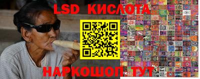 молекула духа Донецк