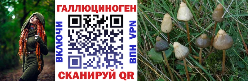 как найти закладки Лыткарино мега зеркало Псилоцибиновые грибы прущие грибы