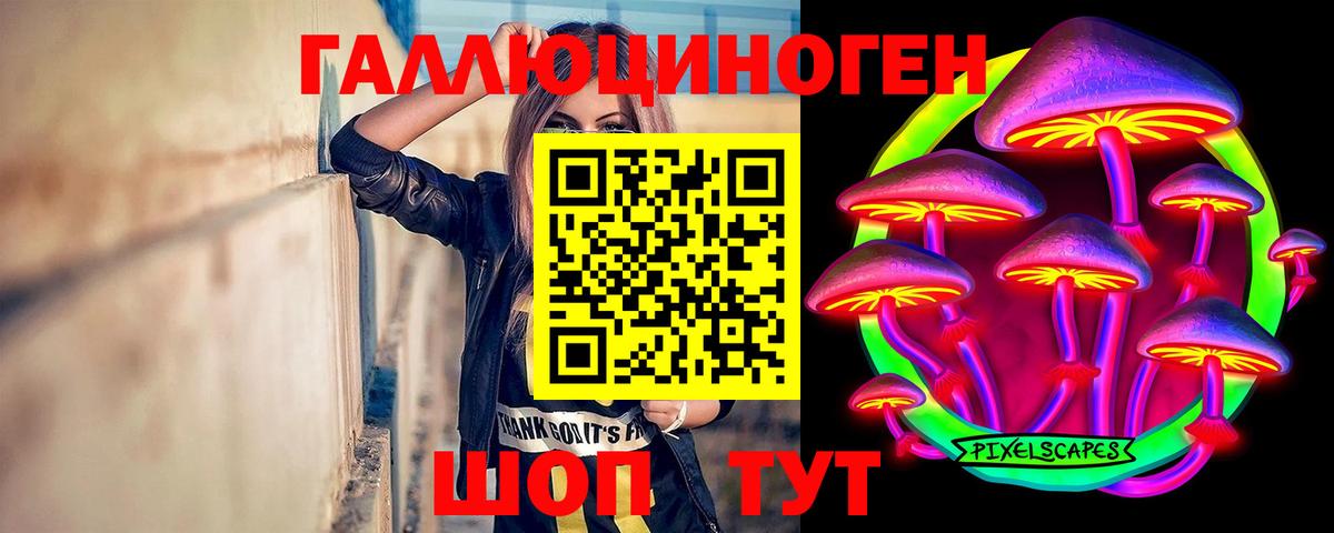 Галлюциногенные грибы Psilocybine cubensis Лыткарино