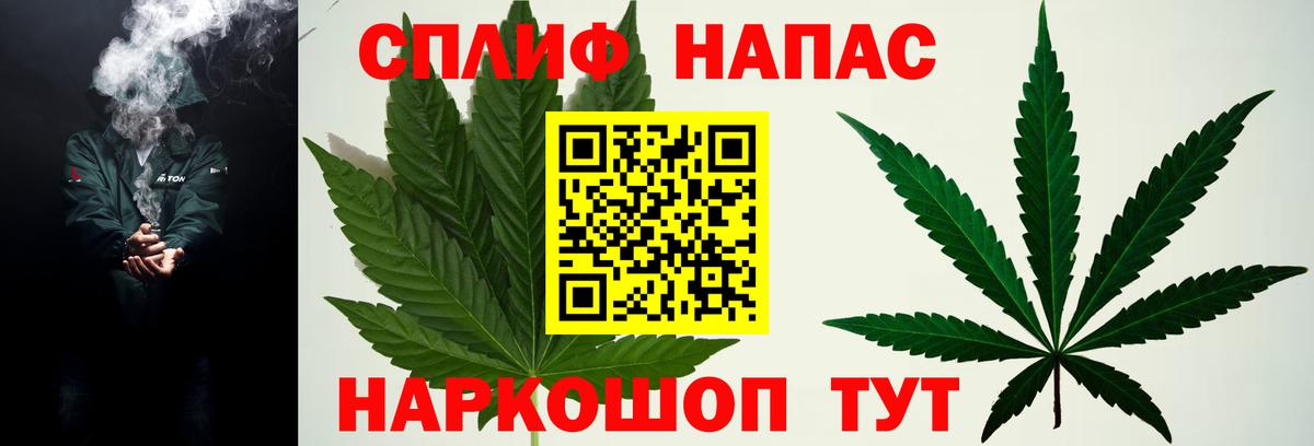 Бошки Шишки семена Лыткарино